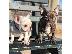 PoulaTo: Amazing French Bulldogs Up for Adoption